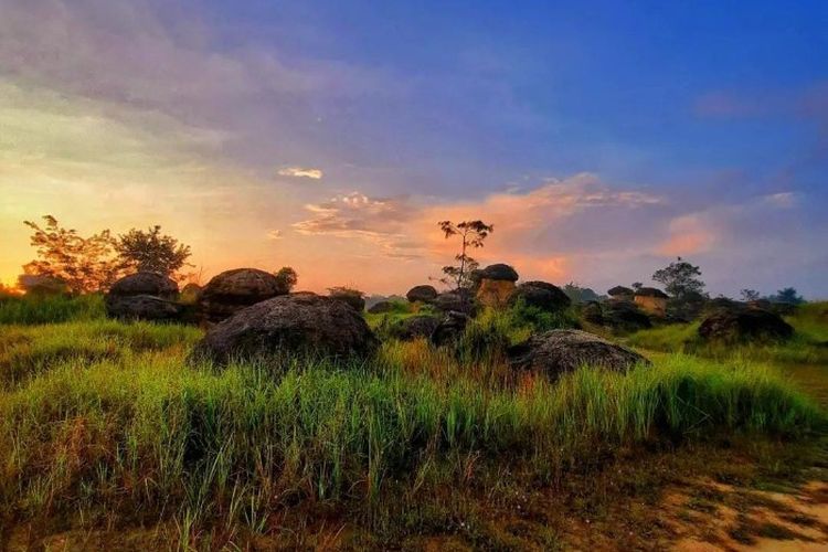 37 Km dari Surabaya, Ditemukan ‘Bumi Menjerit’ di Ladang Warga Gresik Jawa Timur