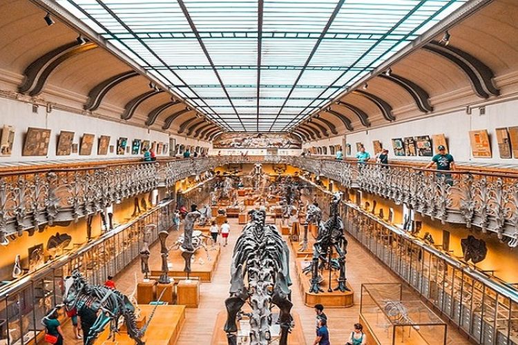 Luasnya 1,5 Hektar, Museum di Jawa Timur Ini Simpan Sejarah Kehidupan Mantan Presiden RI, Apa Isinya?