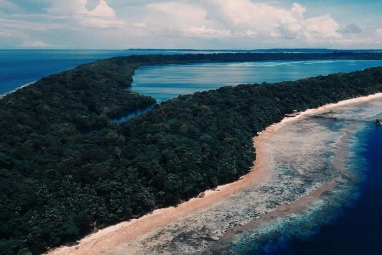 Terbesar di Dunia, Danau di Kaltim Ini Jadi Sarang Kerajaan Ubur-ubur Jinak Satu-satunya di Benua Asia