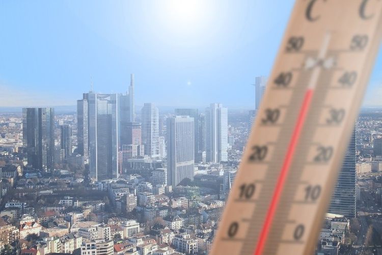 Awas Gosong! 4 Daerah di Riau Ini Punya Suhu Panas Ekstrem, Ada yang Mencapai 37 Derajat Celcius?