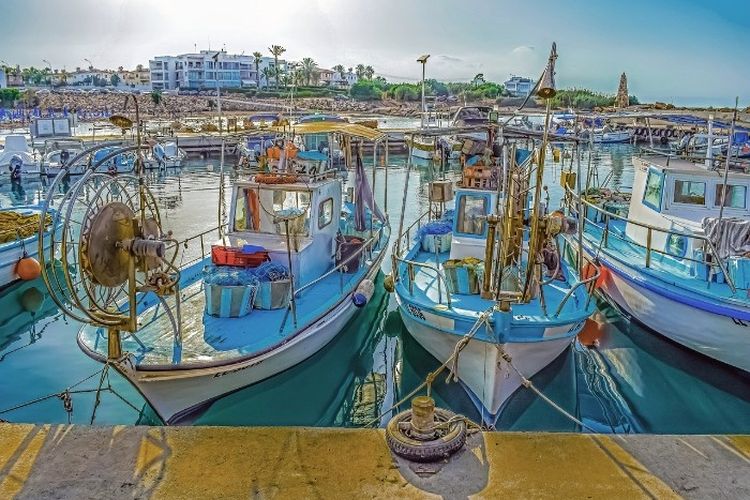 Pelabuhan Rp 5 Triliun Mangkrak? Inilah Ambon New Port yang Tidak Jadi Digarap Dengan Alasan…