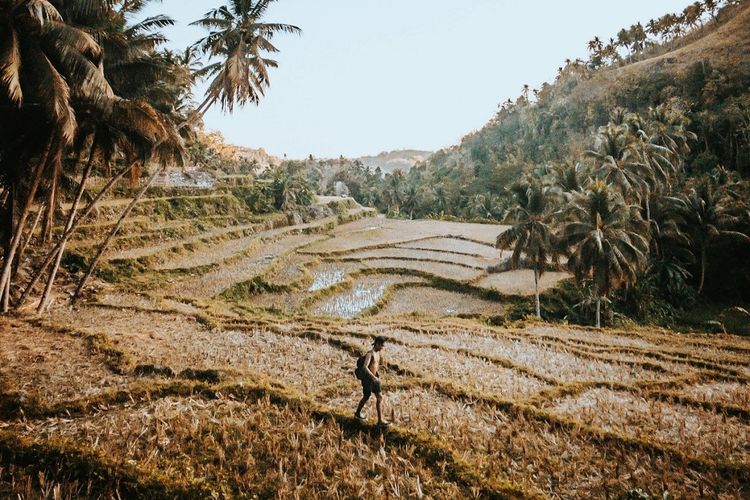 Luasnya 1,45 Juta Hektar! Proyek Lahan Gambut di Kalimantan Tengah Justru Gagal Sampai Jadi Bencana?