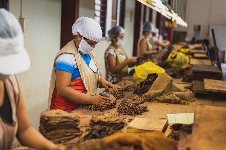 Pabrik Kolosal di Jateng Ini Bidik Omzet Rp 10 Triliun, Produknya Jadi Pilihan Petani dan Nelayan, Bisa Tebak?