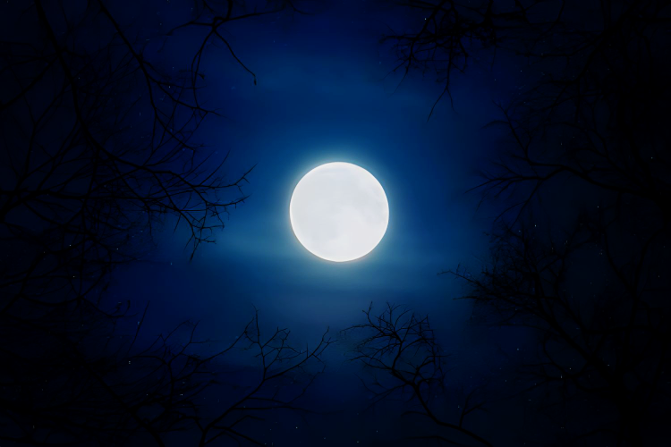 Akan Terjadi Fenomena Blue Moon Pada 30-31 Agustus 2023 di Langit Indonesia, Apa Itu? Ini Penjelasannya