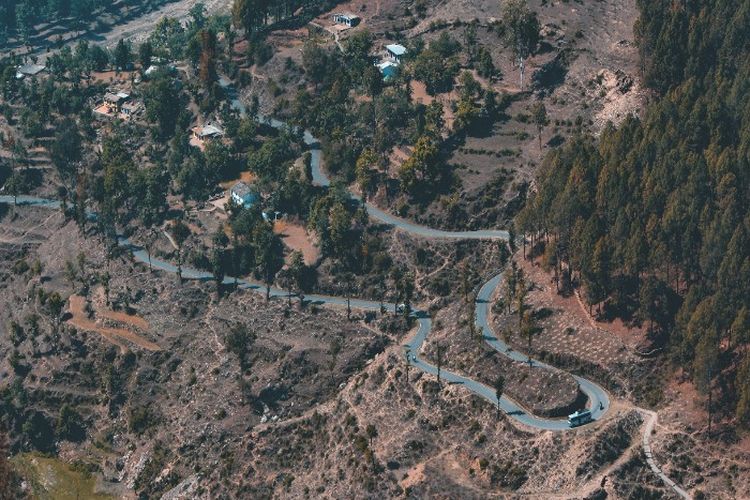 Hutan di Lampung Seluas 40 Ha Disulap Jadi Lahan Tambang Emas hingga Simpan Cadangan 669 Ribu Ton, Lokasinya..