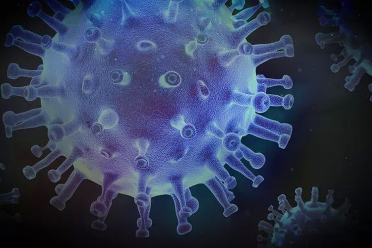 Usai Covid-19, India Lockdown Lagi Gara-gara Muncul Virus Nipah yang Mematikan, Indonesia Harus Waspada!