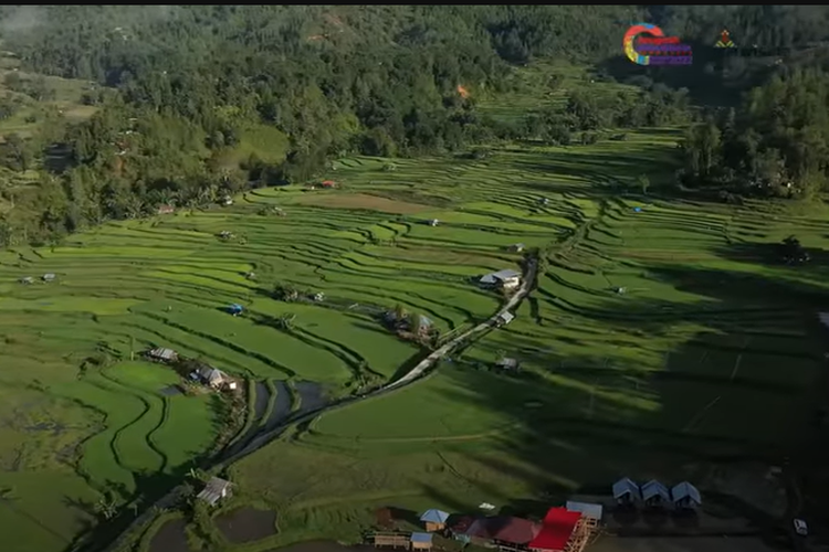 Kampung di Kaki Gunung Mambulilling Sulawesi Barat Ini Terkenal dengan Perkebunan Bunga, Wajib Dikunjungi!