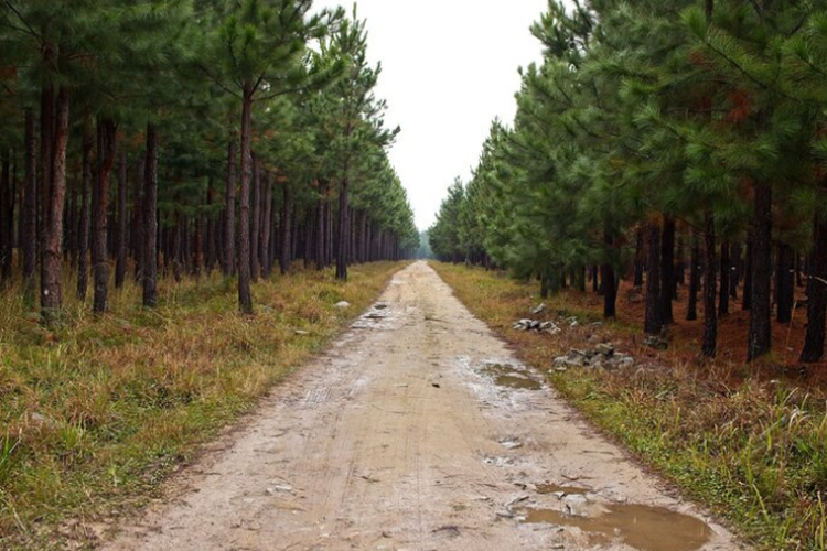 Telan Dana APBD Rp 14 Miliar, Proyek Jalan di Ketapang Ini Disoroti Anggota DPRD Kalimantan Barat, Mengapa?