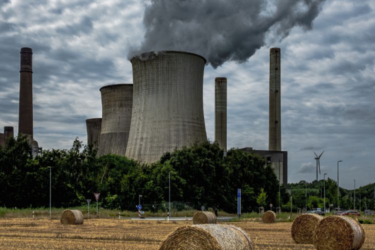 Proyek Geothermal di Mataloko NTT Masih Dilanjutkan Pemerintah meski Dinilai Rusak Lingkungan