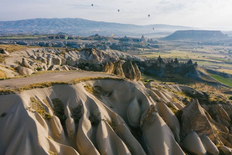 Tanah Tandus Seluas 150 Hektar di Aceh Ini Disulap Jadi Kebun Kurma dengan Kapasitas 15.000 Pohon