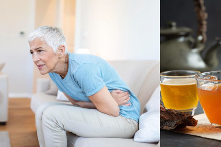 Ajaib! dr Zaidul Akbar Sebut Batu Ginjal Hancur Tanpa Operasi, Cukup Minum Ramuan dari Tanaman Ini