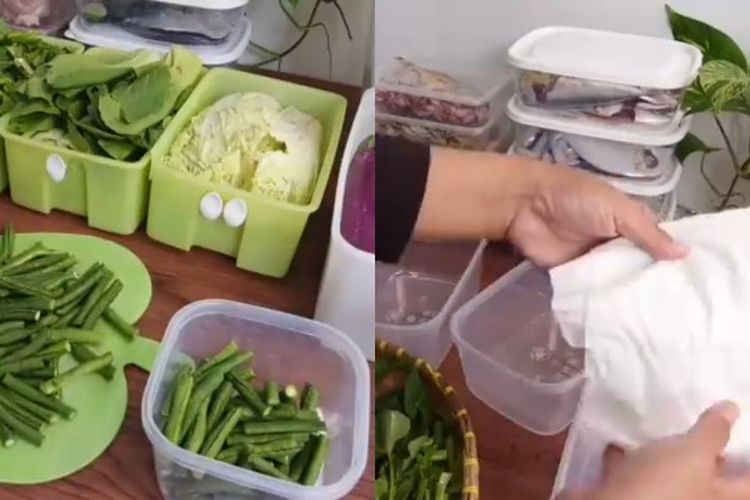 Bisa Tahan 2 Minggu, Ini Trik Menyimpan Sayuran di Kulkas Agar Tidak Mudah Layu, Ternyata Gampang!