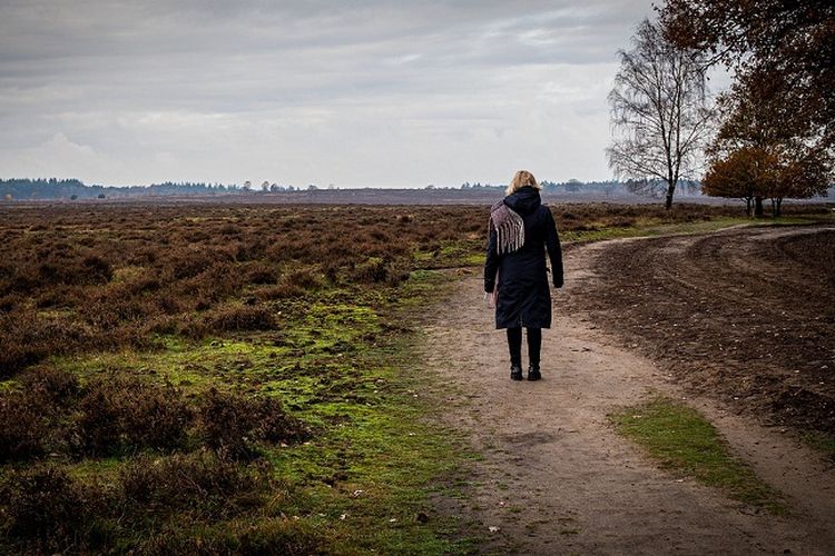 Inilah 5 Daerah Tersepi di Lampung, Kepadatan Penduduknya Ada yang cuma 55 per km2, Tempat Tinggalmu Termasuk?
