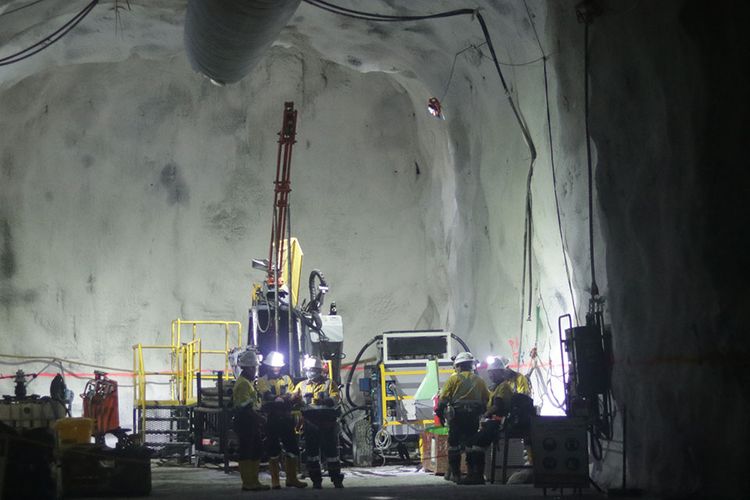 TERBESAR di Dunia! Lahan Seluas 4.998 ha di Jawa Timur Akan Disulap Jadi Tambang Bawah Tanah: Lokasinya…