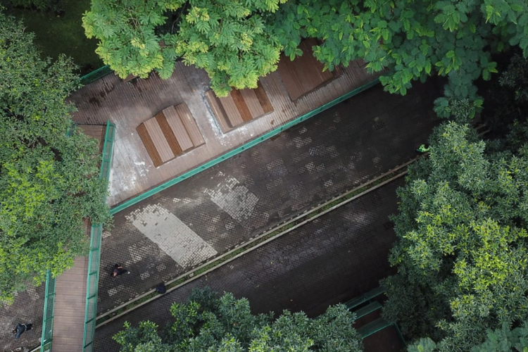 WOW! Kota Ini Miliki Hampir 1000 Taman Aktif yang Bisa Kamu Kunjungi, Bisa Tebak di Mana?