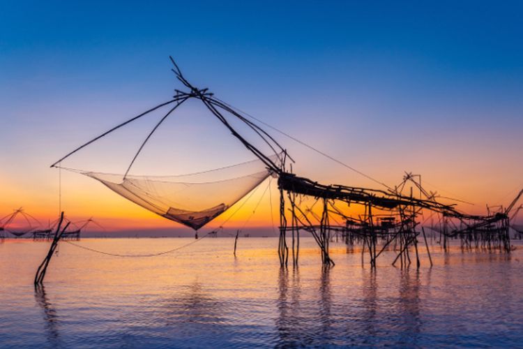 Bakal Serap APBN Hingga Rp 1 Miliar, Inilah Alasan Kabupaten Lampung Selatan Perlu Revitalisasi Tambak Udang