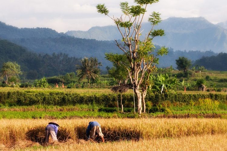 13 Km dari Bandung, Kampung di Jawa Barat ini Tak Pernah Makan Nasi, Bukan Karena Sulit Ekonomi, melainkan…