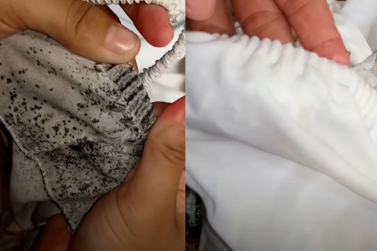 Dengan 2 Bahan Murah, Begini Tips Menghilangkan Noda Hitam Jamur Pada Baju Putih, Dijamin Auto Kinclong!