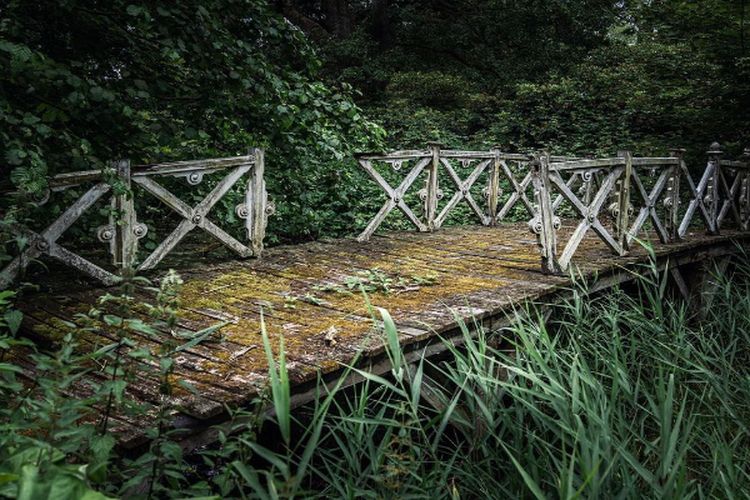 Peras APBD Rp1,3 Miliar, Jembatan Lampung Panjangnya 10 Meter Sudah Lama Rusak, Kondisinya Memprihatinkan