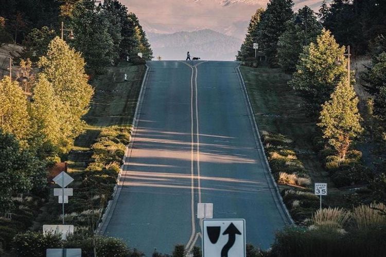 Gunakan Dana APBD Rp210 Miliar, Proyek Jalur Pedestrian di Kota Makassar Terbengkalai, Alasannya Karena…