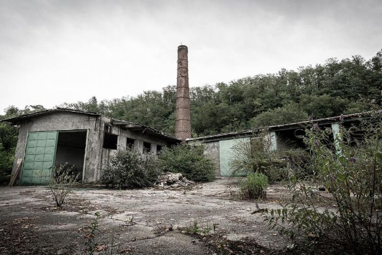 Berdiri Sejak Tahun 1960, Pabrik Kertas Terbengkalai di Kalimantan Selatan Ini Dulunya Hadiah dari Jepang
