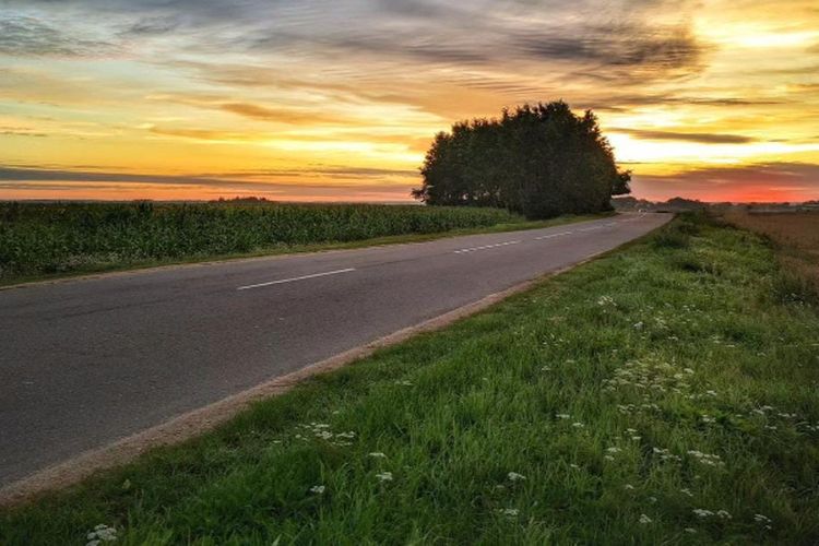 Senilai Rp5 Miliar, Akses Jalan Antar Kampung  di Kalimantan Tengah Tidak Dilengkapi Perencanaan dan…