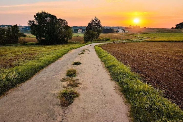 Negara Dibikin Boncos Rp2,1 Miliar, Pembangunan Jalan di Kalimantan Tengah Ini Tidak Sesuai dengan Kontrak