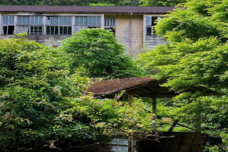 Awalnya Penduduk Hidup Makmur, Kini Pemukiman di Sumatera Utara Jadi Kampung Mati Tak Berpenghuni