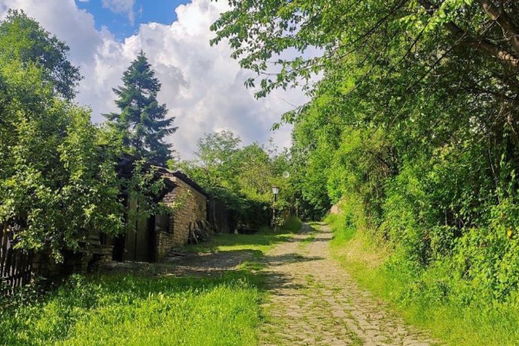 Negara Dibikin Boncos Rp6,3 Miliar, Proyek Pembangunan Infrastruktur di Kalimantan Tengah Bermasalah