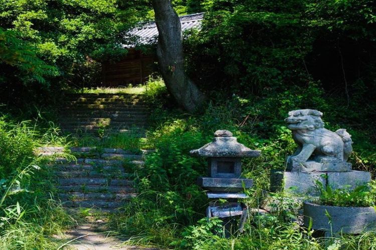 Infrastruktur Tak Lagi Mendukung, Kampung di Sumatera Utara Ini Ditinggalkan, Hanya Ada Jalan Setapak