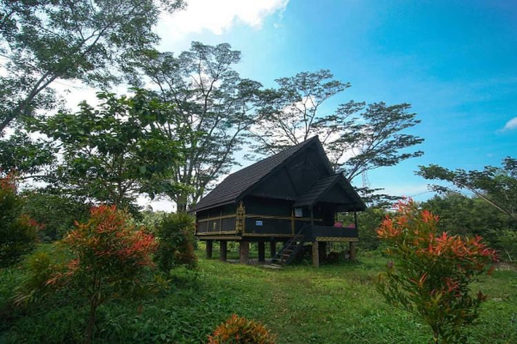 Kampung Unik di Sumatera Selatan Memiliki Ciri Khas Rumah Adat dan Pegunungan Terkenal, Punya Nama…