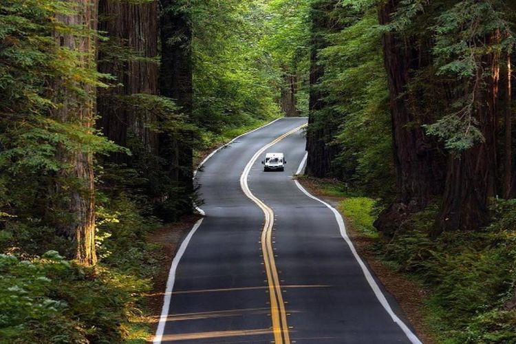 Anggaran Rp3,9 M, Sejumlah Perusahaan Tambang di Jambi Enggan Bayar Kontribusi Perbaikan Jalan, Benarkah?