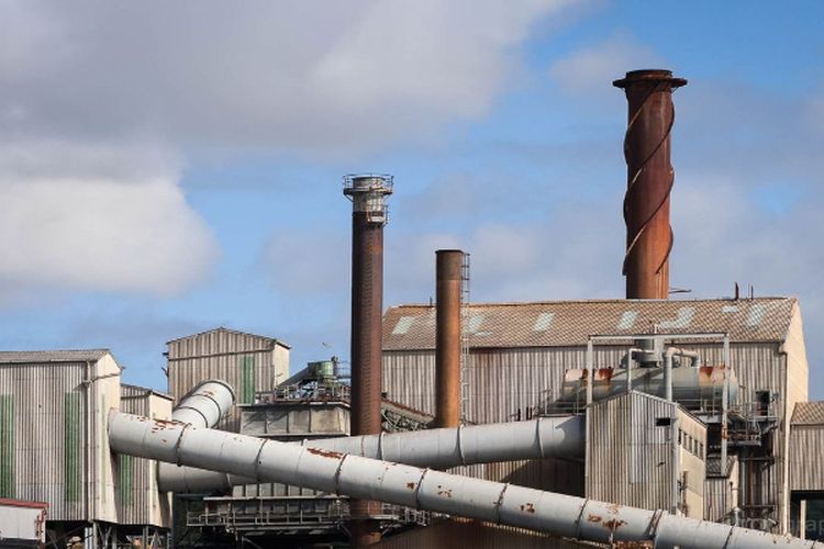 Dananya Rp30 Triliun, Proyek Pembangunan Pabrik Pupuk di Papua Anggarannya Bersumber dari….