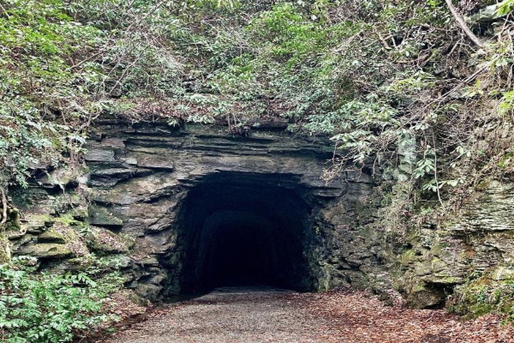 Bekas Tempat Pertahanan Tentara Jepang, Sebuah Lubang di Sumatera Barat Ini Mampu Ledakan Bom Beratnya…