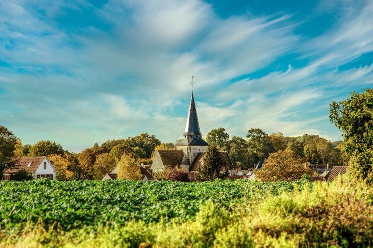 Jadi Proyek Mangkrak, Gedung Mewah di Jakarta Ini Terlanjur Dibangun dengan Kucuran Dana Rp75 Miliar