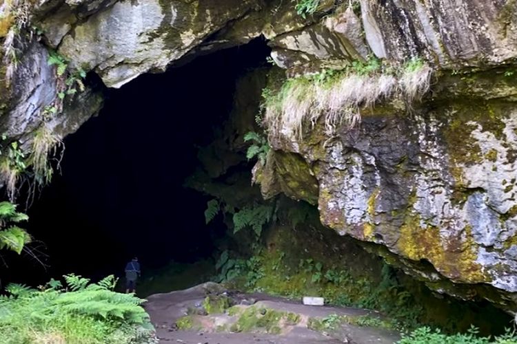 Digadang Jadi Goa Terbesar dan Terpanjang se-Asia Tenggara, Goa Lowo di Jawa Timur Ini Ditemukan Sejak 1931