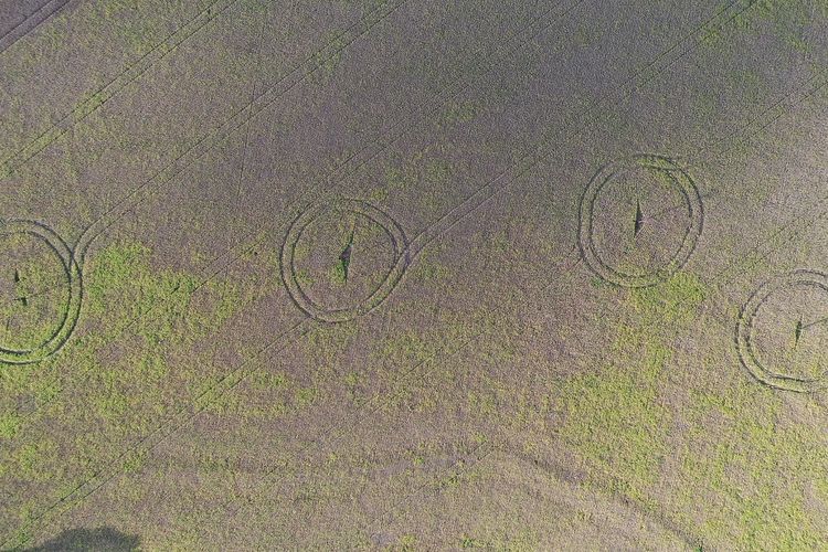 Terbaru Ada di AustraIia, Ilmuwan Temukan ‘Lingkaran Peri’ Misterius Lebih Banyak Tersebar di Berbagai Dunia