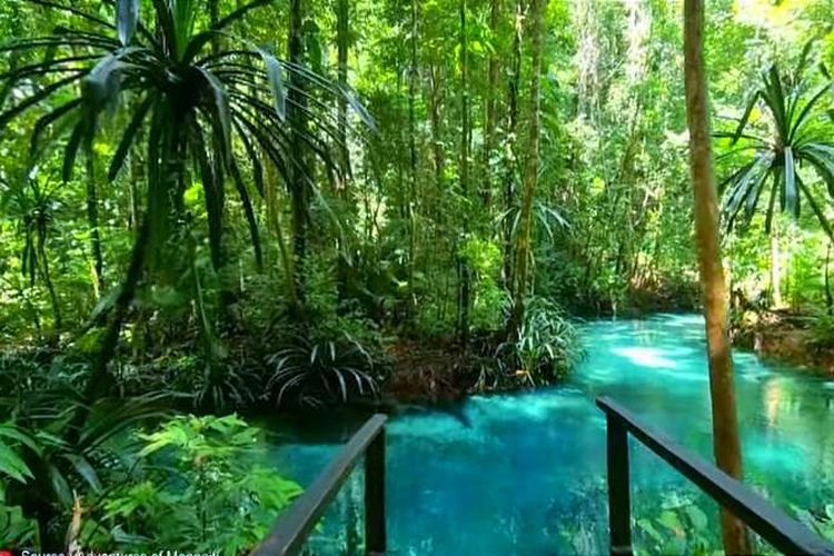 Indah Bak Surga di Balik Belantara, Sungai Ini Punya Air Sebiru Permata, Lokasinya Ternyata Ada di…