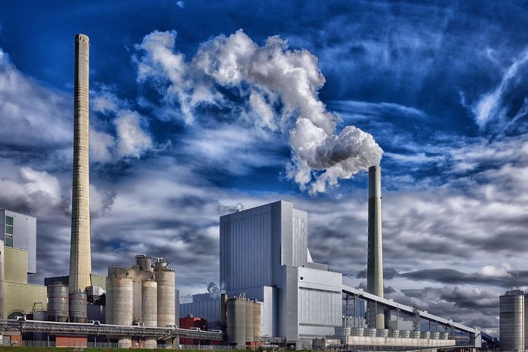 Diramalkan Bakal Serap 2.000 Tenaga Kerja, Proyek Pabrik Megah di Tarakan Ini Malah Diprotes Warga, Mengapa?