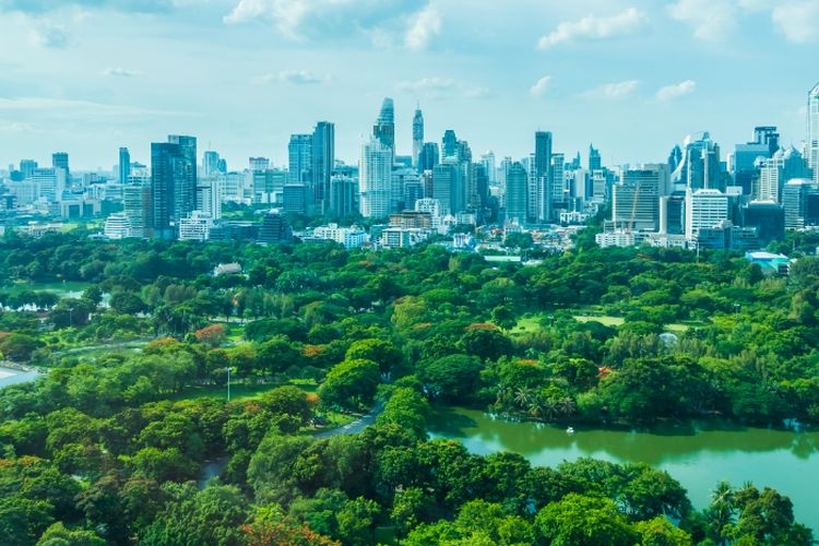 Lebih dari Rp10 Miliar! Segini Dana Desa di Kuala Kencana Mimika Papua, Kota Modern ‘Asuhan’ Freeport, Tapi…