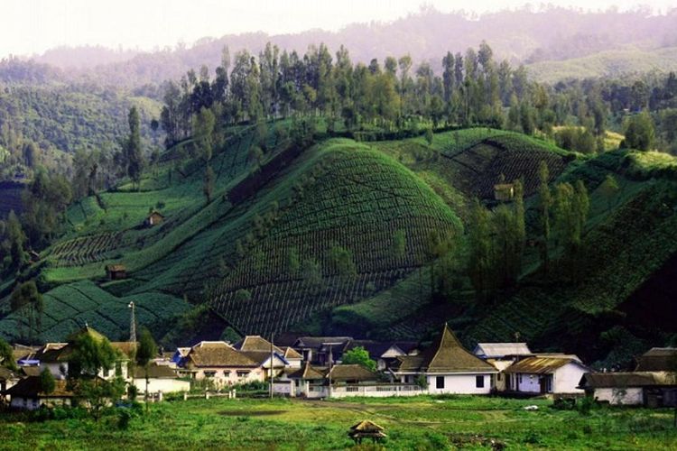 Suhu Airnya Dingin 14 Derajat Celsius, Danau Pada Kaki Gunung Semeru di Desa Jatim Ini Bisa Jadi Pelepas Penat