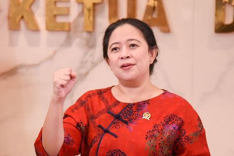 Lebih Tajir dari Menkeu! Kekayaan Puan Maharani Capai Rp397 M Hingga Punya 78 Aset Properti Tersebar di Kota..