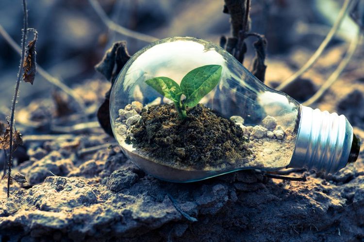 Indonesia Digadang Bakal Hasilkan Listrik 56,97 GW dari Bioenergi, Nasib PLTU Energi Fosil Akan Pensiun?