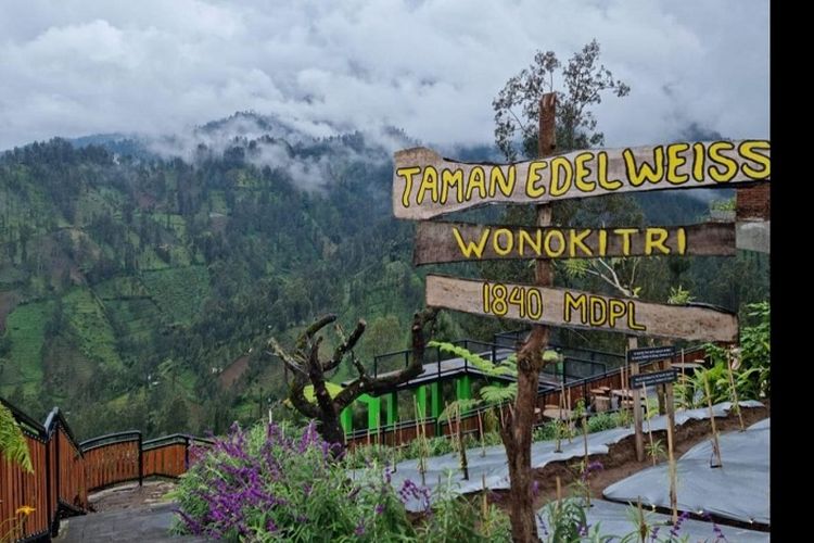 Nominasi 75 Besar ADWI, Desa Wisata di Jatim Ini Punya Bunga ‘Abadi’, Menparekraf: Beda dari Desa Lainnya