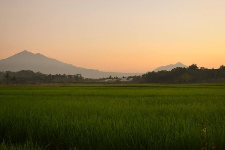 Salatiga Jateng Masuk Nominasi Kota Kreatif UNESCO, Ini Segudang Prestasinya, Salah Satunya Anti Wacana Club!
