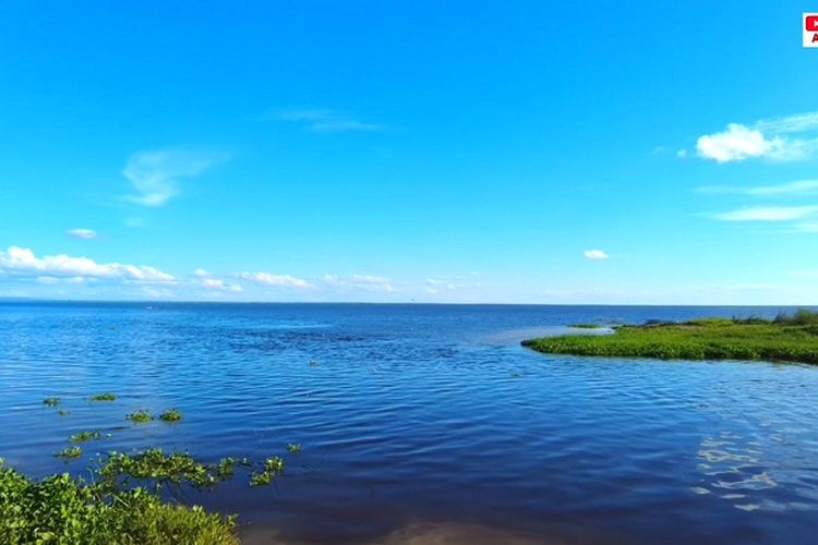 Luasnya 13.000 ha, Danau di Kutai Kartanegara Kalimantan Timur Ini Jadi Rumah Spesies Ikan Langka, Apa Itu?