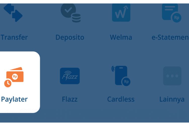 BCA Luncurkan Paylater, Berikut Syarat dan Cara Registrasi Lengkap, Pengajuannya Hanya Sehari!
