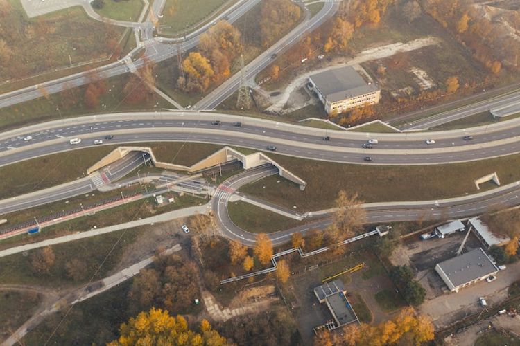 Diklaim Jadi yang Terpanjang! Jalan Tol di Jawa Timur Ini Justru Terkendala Pembebasan Lahan, Panjangnya…