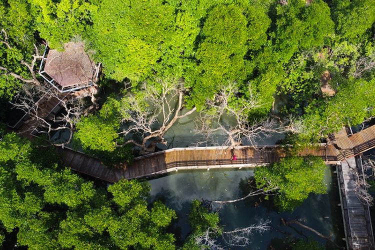 Dikelilingi Danau hingga Hutan Bakau, Kegiatan Barter Barang dan Jasa Masih Berlaku di Desa Terapung Kolombia