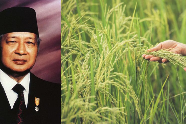 Pernah Jadi Macan Asia, Begini Kehebatan Sektor Pertanian Indonesia di Era Soeharto, Kalahkan China dan India